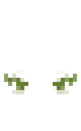 Cappuccino: optifine cape render