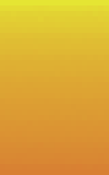 Bicycle: optifine cape render