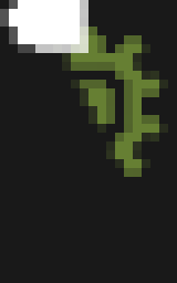 Cleaning: optifine cape render