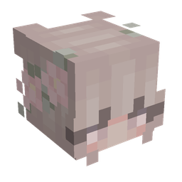 Orange skin: head render