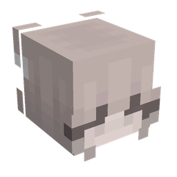 Orange skin: head render