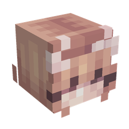 Orange skin: head render