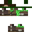 Black skin: raw texture render