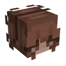 Brown skin: head render