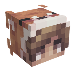 Orange skin: head render