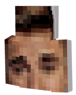 Classic skin: bust render