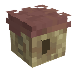 Brown skin: head render
