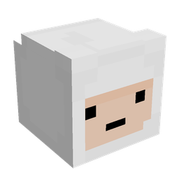 Orange skin: head render
