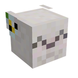 Orange skin: head render