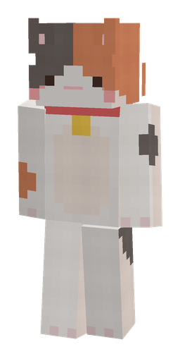 Gray skin: body, front render