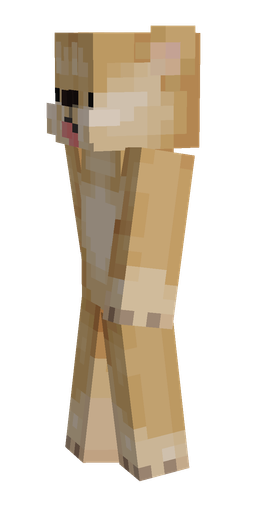 Orange skin: body, left side render