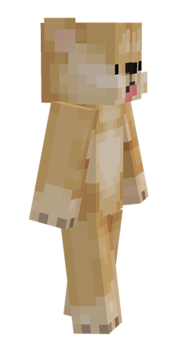 Orange skin: body, right side render