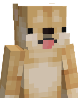 Orange skin: bust render