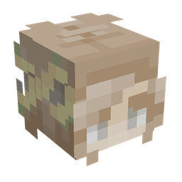 Orange skin: head render