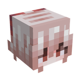 Orange skin: head render