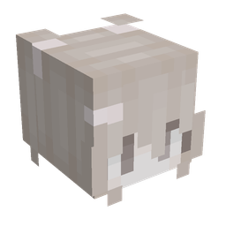 Orange skin: head render