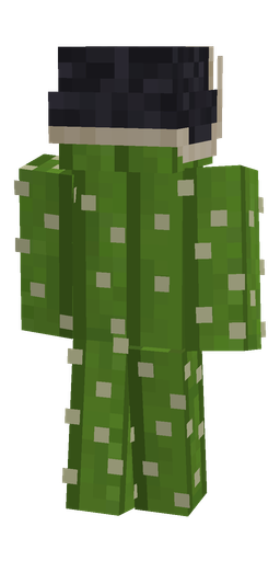 Classic skin: body, back render