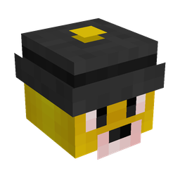 Slim skin: head render