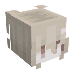Orange skin: head render