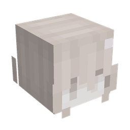 Orange skin: head render