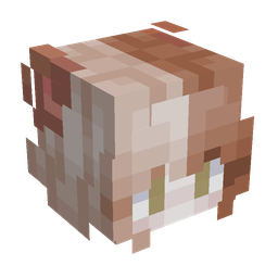 Orange skin: head render