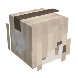 Brown skin: head render