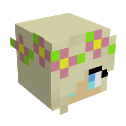 Classic skin: head render