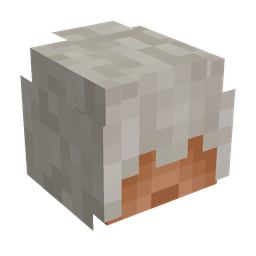 Brown skin: head render