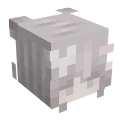 Pink skin: head render