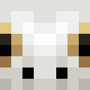Brown skin: face render