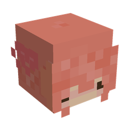 Orange skin: head render