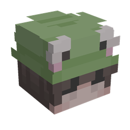 Classic skin: head render