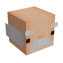 Orange skin: head render