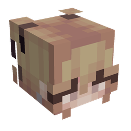 Orange skin: head render