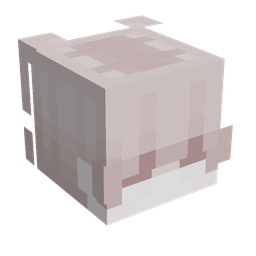 Pink skin: head render