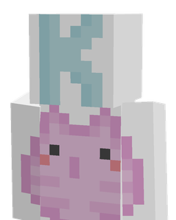 Slim skin: bust render