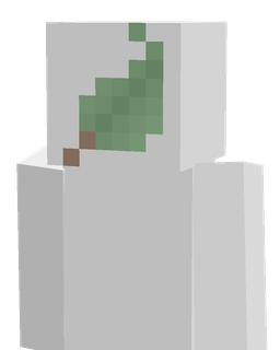 Slim skin: bust render