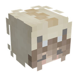 Slim skin: head render