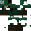 Black skin: raw texture render