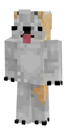 Classic skin: body, front render