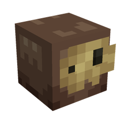 Brown skin: head render