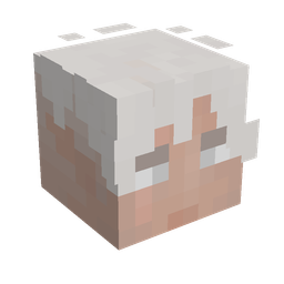 Classic skin: head render