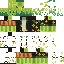 Classic skin: raw texture render