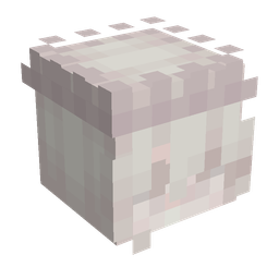Orange skin: head render