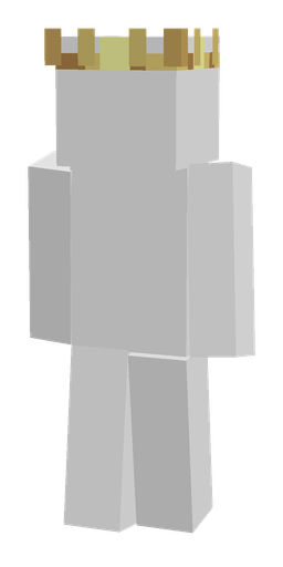 Slim skin: body, back render