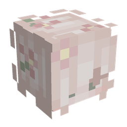 Orange skin: head render