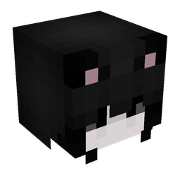 Black skin: head render