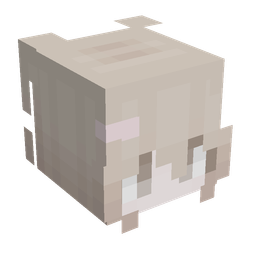 Orange skin: head render