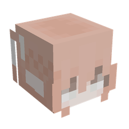 Orange skin: head render
